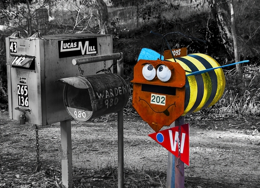 An Interesting LetterboxPhotography by David Willis